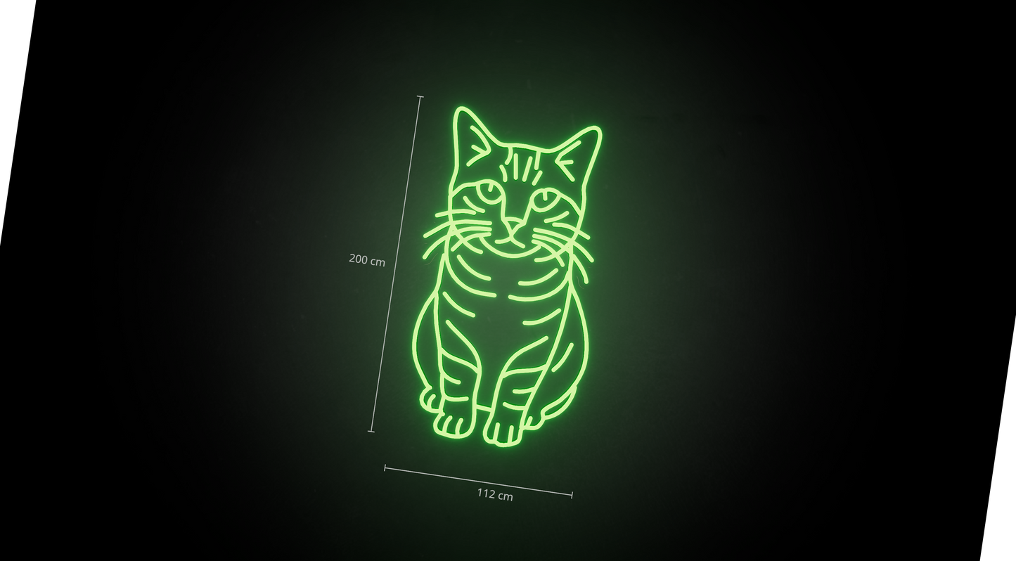 Neon Sign #9514661